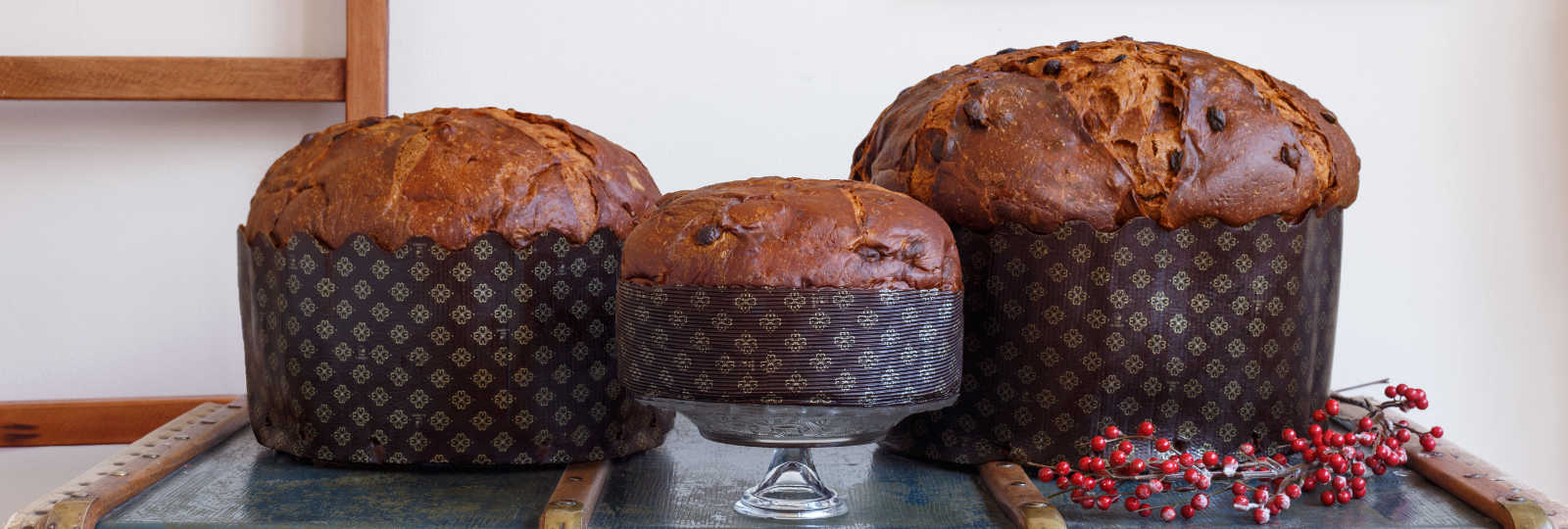 Panettone Geschenkidee bis 5kg.